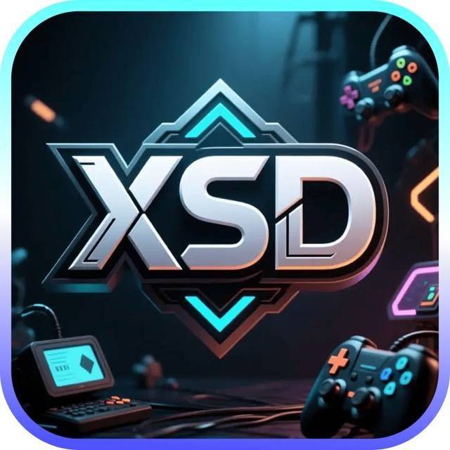 XSD国际